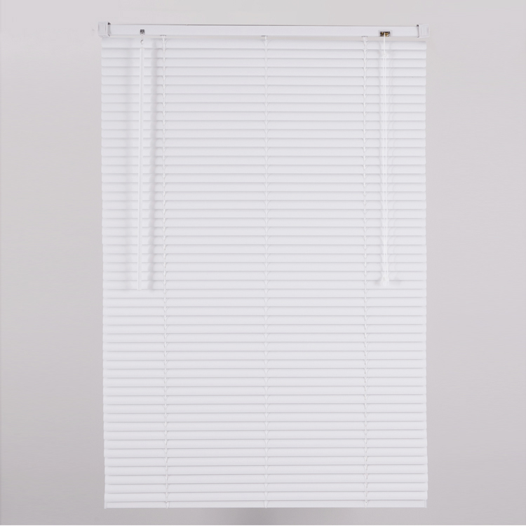 white pvc blind